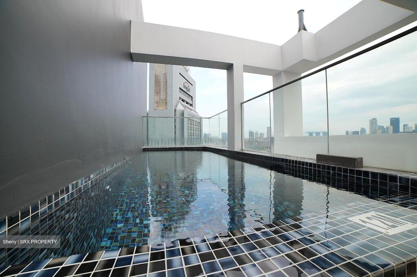 Devonshire Residences (D9), Apartment #460414401